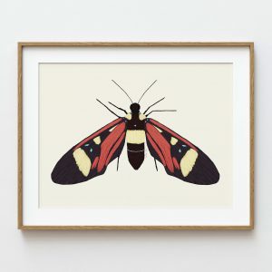 Lámina artística mariposa roja