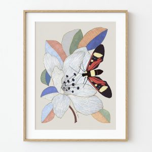 Ilustración flor de Magnolia