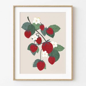 Ilustración de fresas