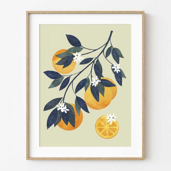Ilustración rama de naranjo