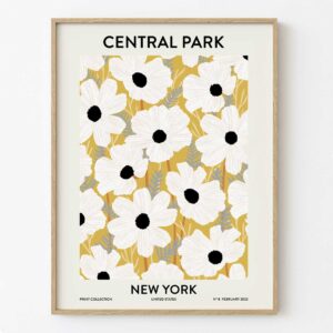 Ilustración de Central park de New York