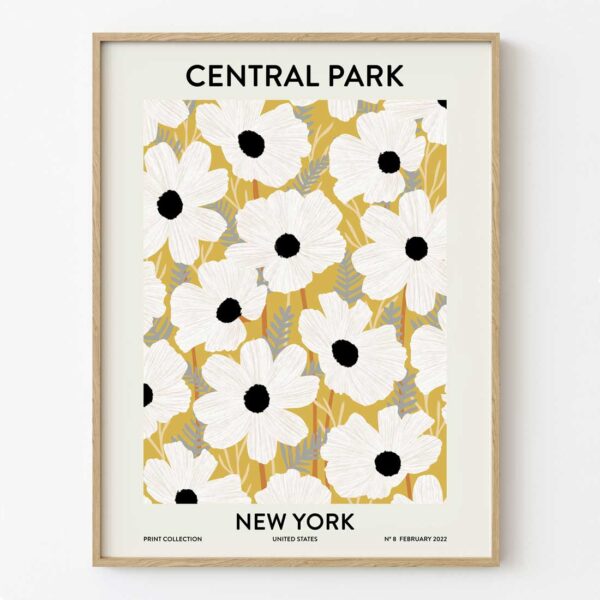 Ilustración de Central park de New York