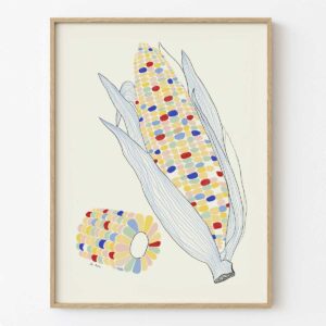 ilustración mazorca de maiz